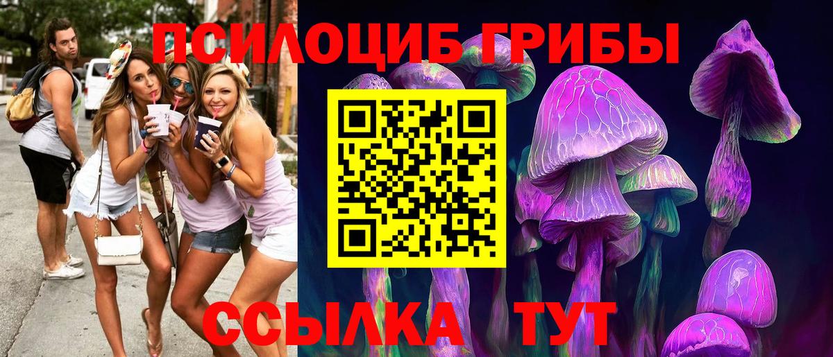 Псилоцибиновые грибы Psilocybe  Вход с VPN  Волоколамск 