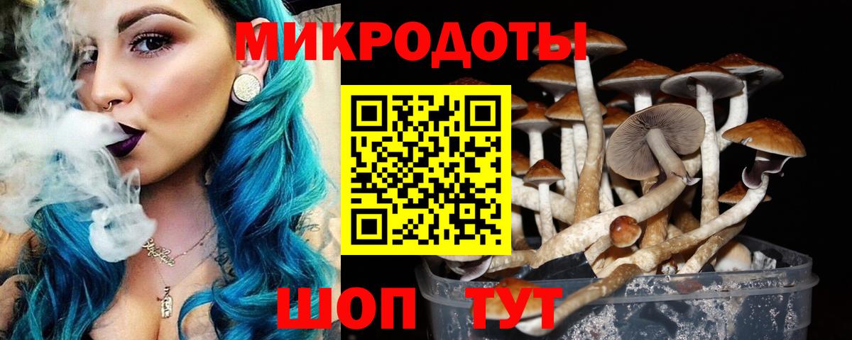 Псилоцибиновые грибы Cubensis Волоколамск